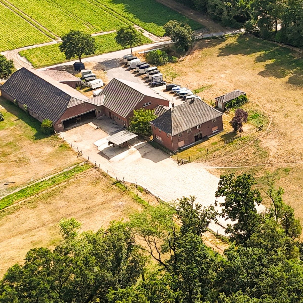 Reiterhof Verhasselt Offenstall Haflinger vor Heuraufe auf dem Paddock des Offenstalls